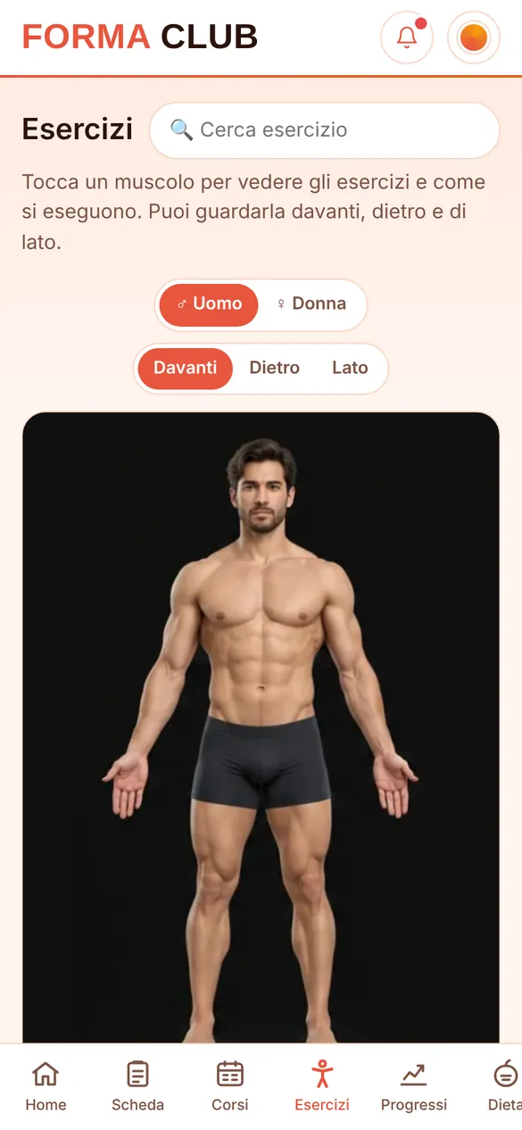 Gli esercizi per muscolo sulla figura del corpo
